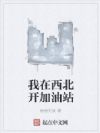我在西北开加油站