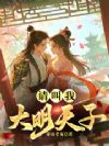 请叫我大明天子